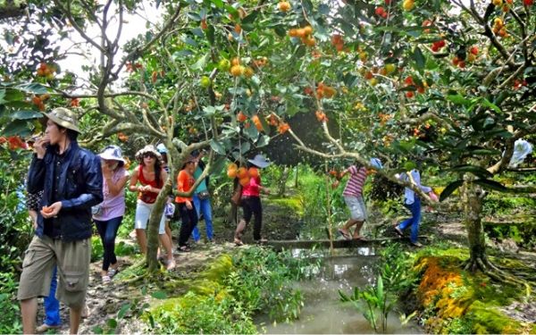 cac dia diem tham quan thu vi trong chuyen du lich cu chi 3