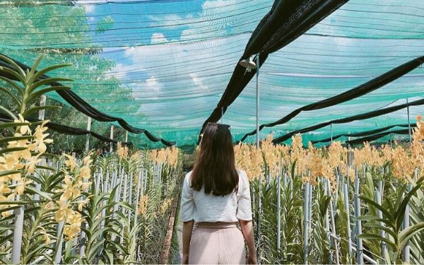 Các địa điểm tham quan thú vị trong chuyến du lịch Củ Chi | Saigon Star Travel cac dia diem tham quan thu vi trong chuyen du lich cu chi 6