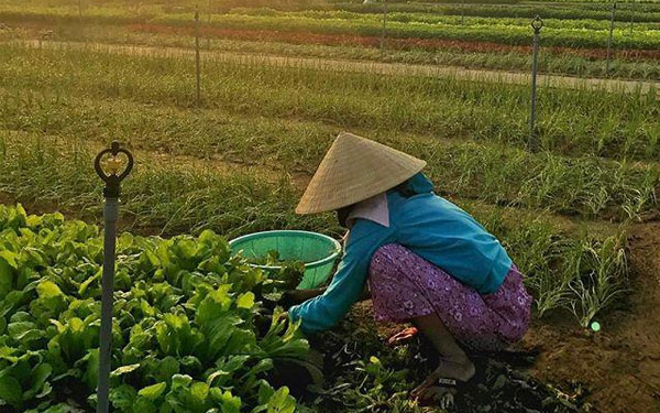 Các làng nghề truyền thống phố cổ Hội An | Saigon Star Travel cac-lang-nghe-truyen-thong-pho-co-hoi-an-7