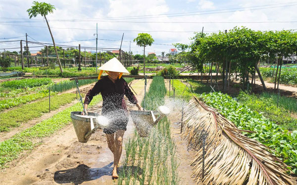 Các làng nghề truyền thống phố cổ Hội An | Saigon Star Travel cac-lang-nghe-truyen-thong-pho-co-hoi-an-8