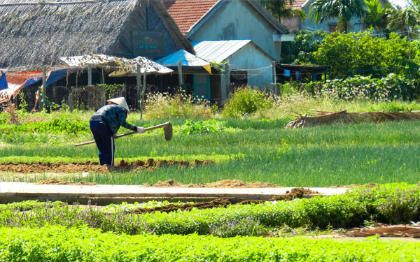 Các làng nghề truyền thống phố cổ Hội An | Saigon Star Travel cac-lang-nghe-truyen-thong-pho-co-hoi-an-9