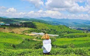 cac loai voucher da lat hap dan nhat hien nay 4 1