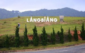 Đà Lạt là một trong những điểm đến hấp dẫn khách du lịch trong và ngoài nước. Để có chuyến du lịch Đà Lạt an toàn và tiết kiệm, bạn có thể lựa chọn một số loại voucher Đà Lạt.