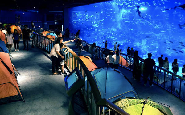 Cẩm nang bản đồ du lịch Thái Lan đầy đủ nhất | Saigon Star Travel Thủy cung SEA LIFE Bangkok Ocean World