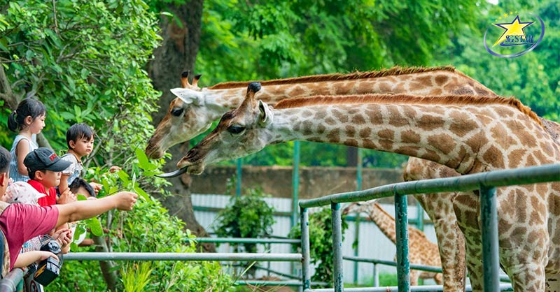 Cẩm Nang Du Lịch Cho Gia Đình - Cho Chuyến Đi Trọn Vẹn | Saigon Star Travel Tham quan Thảo Cầm Viên