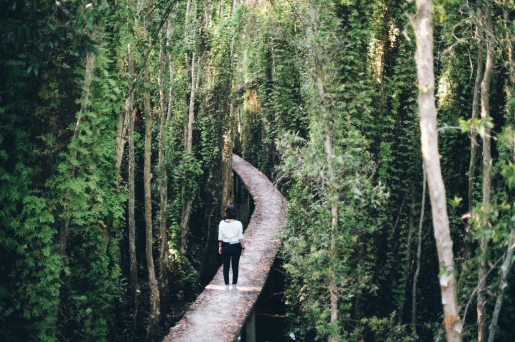 Một ngày khám phá Cần Giờ với Tour du lịch lý tưởng | Saigon Star Travel Can-gio-1