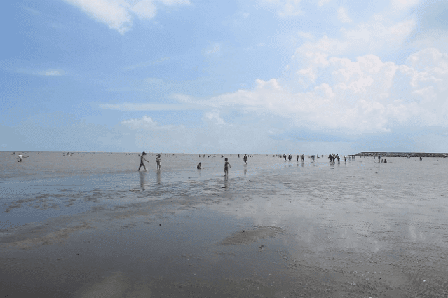 Một ngày khám phá Cần Giờ với Tour du lịch lý tưởng | Saigon Star Travel Can-gio-2