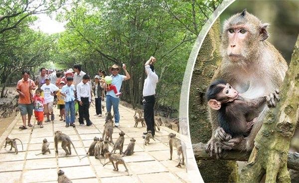 Một ngày khám phá Cần Giờ với Tour du lịch lý tưởng | Saigon Star Travel Can-gio-4