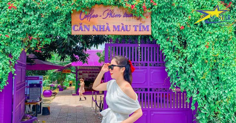 can nha mau tim