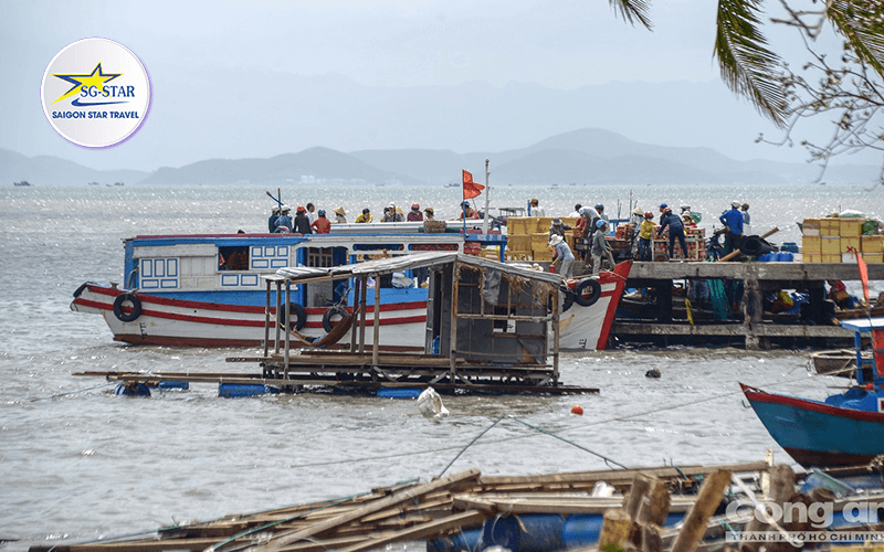 1001 lý do bạn nhất định phải đến Cảng Vạn Giã hè này | Saigon Star Travel cang-van-gia