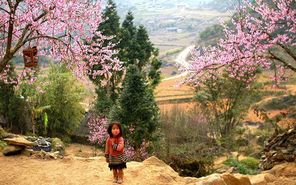 Thưởng thức những cảnh đẹp tuyệt mỹ chỉ có ở Sapa | Saigon Star Travel canh-dep-sapa-514-8