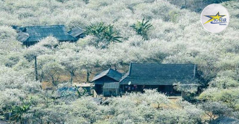 Tháng 4 Nên Đi Du Lịch Ở Đâu? Điểm Đến Hấp Dẫn Trong & Ngoài Nước
Lỗi giao diện: file 'snippets/shortcode-current_date.bwt' không được tìm thấy
| Saigon Star Travel canh-rung-tuyet-hoa-man-tai-thung-lung-na-ka