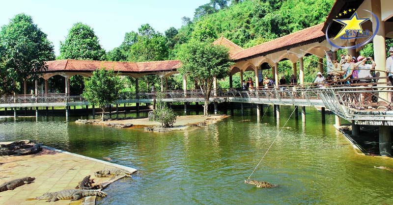 Trải nghiệm câu cá sấu tại khu du lịch Yang Bay trong tour 1 ngày từ Nha Trang