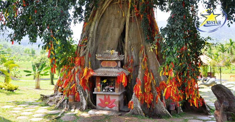 Thác Yang Bay Nha Trang – Điểm Đến Lý Tưởng Trong Dịp Hè 2023 | Saigon Star Travel Hãy đến Mộc Thần và cầu nguyện những điều tốt đẹp nhất