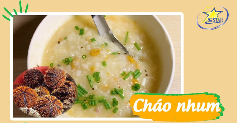 chao nhum bien ly son