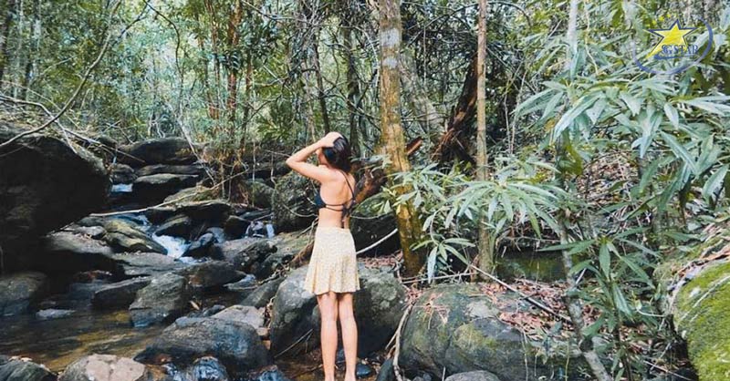 Suối Tranh Phú Quốc - Viên Ngọc Xanh Của Đảo Ngọc | Saigon Star Travel Tắm và ngắm nhìn khung cảnh thiên nhiên tuyệt đẹp ở Suối Tranh