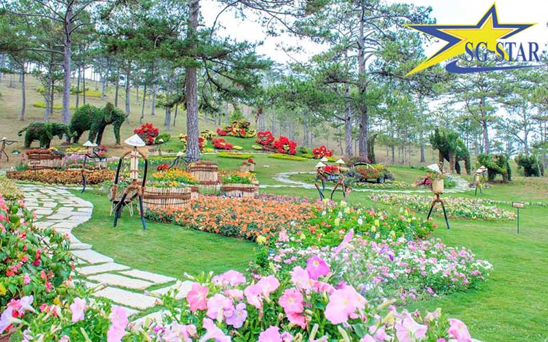 Chi phí đi du lịch Đà Lạt từ Hà Nội chi tiết từ A đến Z | Saigon Star Travel chi phi di du lich da lat tu ha noi 1