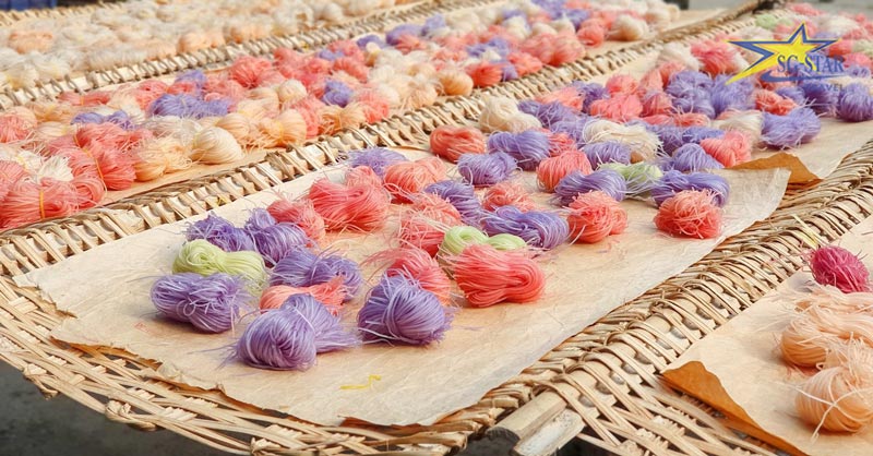 Chia sẻ kinh nghiệm du lịch Cần Thơ chi tiết | Saigon Star Travel Pizza hủ tiếu Cần Thơ nhiều màu sắc