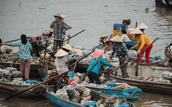 5 Điểm Du lịch Cà Mau Lý Tưởng Phải Đến 1 Lần! | Saigon Star Travel 5-diem-du-lich-ca-mau-ly-tuong-phai-den-1-lan-1