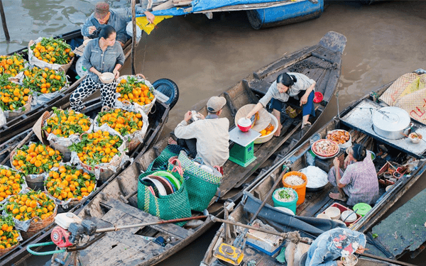 Tour du lịch Cần Thơ giá rẻ bất ngờ | Saigon Star Travel tour-du-lich-can-tho-gia-re-bat-ngo-6