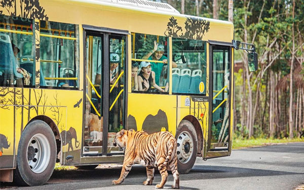 Vinpearl Safari Phú Quốc - Vương quốc động vật hoang dã lớn nhất Việt Nam | Saigon Star Travel choi-tha-ga-tu-a-z-o-cong-vien-vinpearl-safari-phu-quoc-4