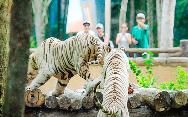 Vinpearl Safari Phú Quốc - Vương quốc động vật hoang dã lớn nhất Việt Nam | Saigon Star Travel choi-tha-ga-tu-a-z-o-cong-vien-vinpearl-safari-phu-quoc-7