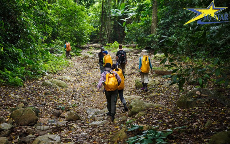 Những kinh nghiệm đi tour vườn quốc gia Phú Quốc không nên bỏ qua | Saigon Star Travel Vườn quốc gia Phú Quốc có diện tích lớn và sự đa dạng sinh học hấp dẫn.