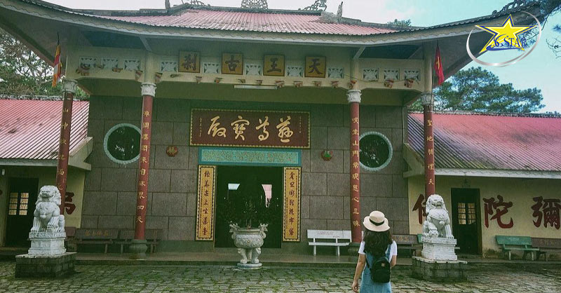 Khám phá Kombi Land Đà Lạt - Nơi sống ảo độc đáo giữa lòng thành phố | Saigon Star Travel Chùa Tàu