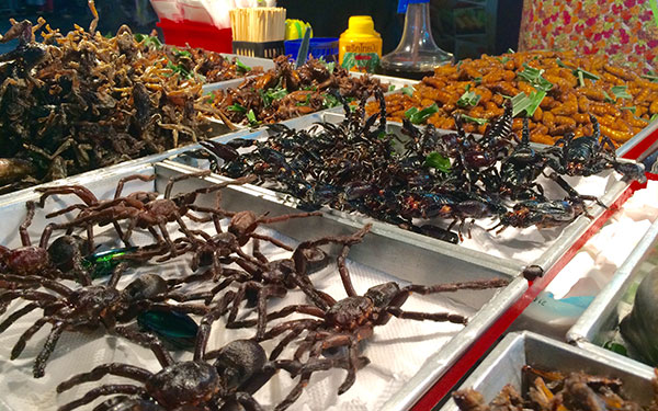 Chùa Wat Arun Thái Lan bình yên bên dòng sông Chao Phraya | Saigon Star Travel chua-wat-arun-thai-lan-binh-yen-ben-dong-song-chao-phraya-7