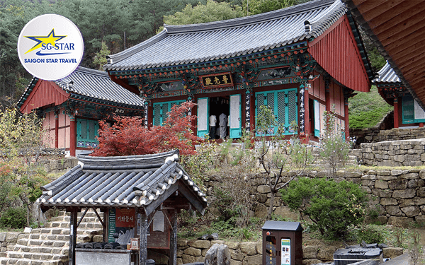 Tour Hàn Quốc trượt tuyết -Trải nghiệm mùa đông lạnh giá xứ sở Kim Chi | Saigon Star Travel tour-han-quoc-truot-tuyet-trai-nghiem-mua-dong-lanh-gia-xu-so-kim-chi-4