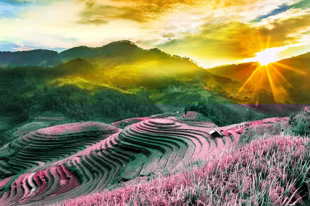 tour Sapa giá rẻ