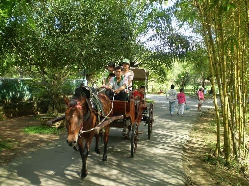 Khu du lịch Cồn Phụng - Điểm đến nổi bật của miền Tây sông nước | Saigon Star Travel con-phung-4