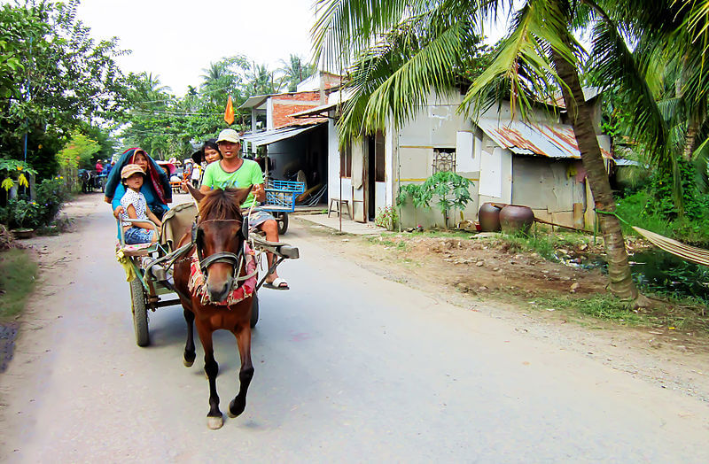 con-thoi-son-con-lan-trai-nghiem-du-lich-miet-vuon