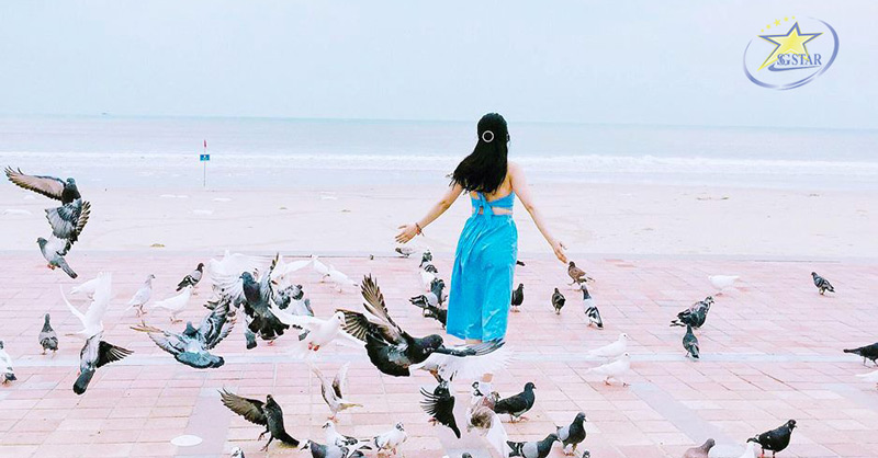 Công viên Biển Đông Đà Nẵng - địa điểm du lịch đẹp tại Đà Nẵng 