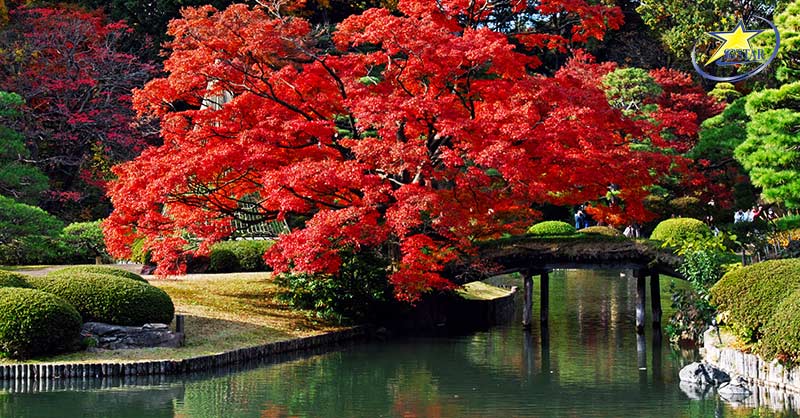 Kinh nghiệm du lịch mùa thu Nhật Bản từ A-Z | Saigon Star Travel Ngắm trọn sắc thu yên ả tại công viên Rikugien