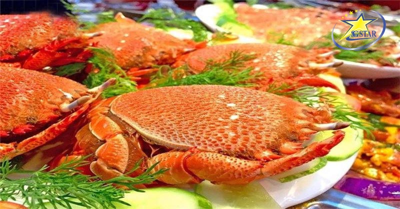 Cẩm nang du lịch đảo Lý Sơn | Saigon Star Travel cua hoang de ly son