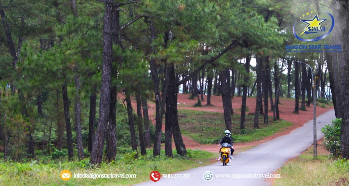 Cung đường đến Đan viện Thiên An