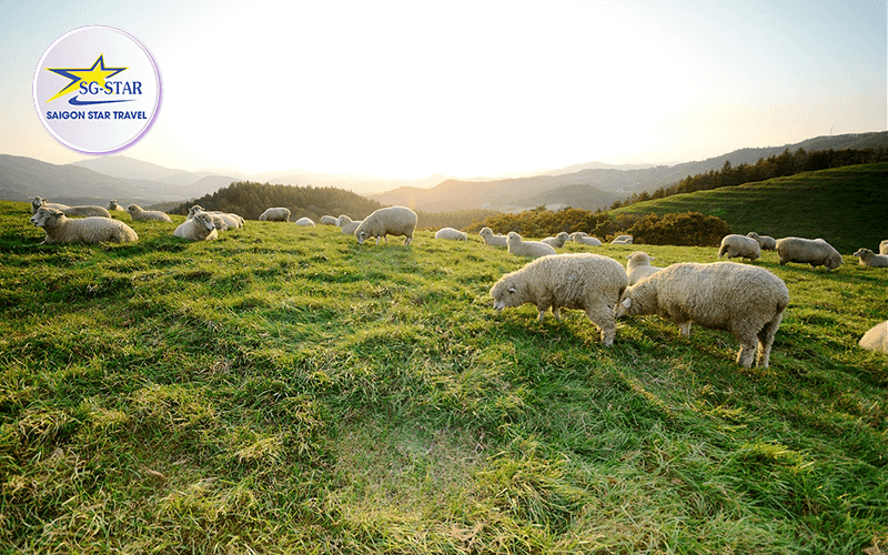 Tận hưởng trời thu với tour Hàn Quốc tháng 9 | Saigon Star Travel tour-han-quoc-thang-9-3