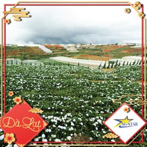 Ưu đãi kim cương: giảm đến 999.000VNĐ cho các chùm Tour Trong Nước | Saigon Star Travel da-lat