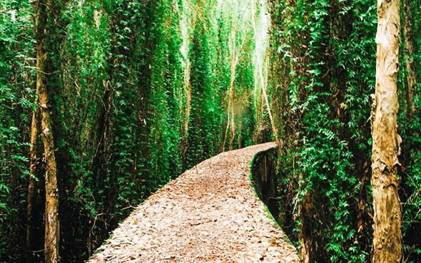 Khu du lịch làng nổi Tân Lập nên đi hay không? | Saigon Star Travel khu-du-lich-lang-noi-tan-lap-nen-di-hay-khong-2