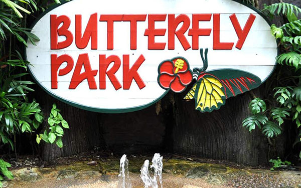 Đảo Sentosa - Thiên đường du lịch Singapore | Saigon Star Travel dao-sentosa-847