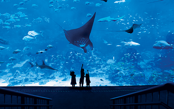 Đảo Sentosa - Thiên đường du lịch Singapore | Saigon Star Travel dao-sentosa-thien-duong-du-lich-4