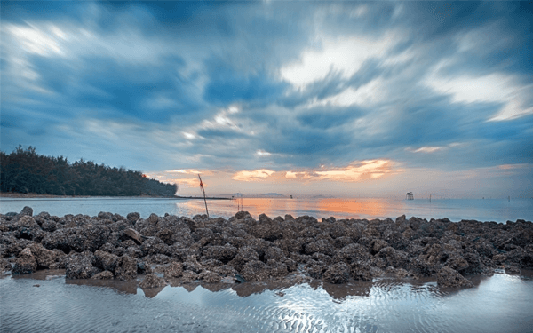 kham-pha-net-binh-yen-tai-dao-thanh-an-can-gio-1