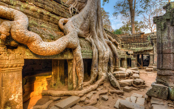 Đền Ta Prohm Campuchia- Khám phá sự bí ẩn của các rễ cây khổng lồ | Saigon Star Travel den-ta-prohm-campuchia-kham-pha-su-bi-an-cua-cac-re-cay-khong-lo-1