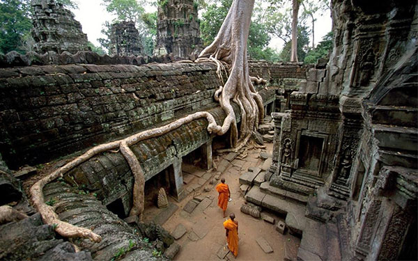 Đền Ta Prohm Campuchia- Khám phá sự bí ẩn của các rễ cây khổng lồ | Saigon Star Travel den-ta-prohm-campuchia-kham-pha-su-bi-an-cua-cac-re-cay-khong-lo-5