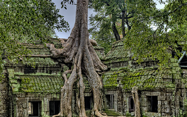 Đền Ta Prohm Campuchia- Khám phá sự bí ẩn của các rễ cây khổng lồ | Saigon Star Travel den-ta-prohm-campuchia-kham-pha-su-bi-an-cua-cac-re-cay-khong-lo-7