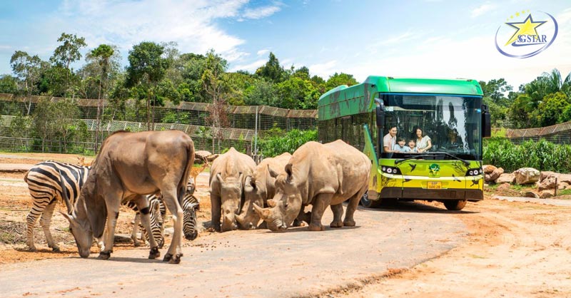 Vinpearl Safari Phú Quốc - Vương quốc động vật hoang dã lớn nhất Việt Nam | Saigon Star Travel Khám phá Safari Phú Quốc với hình thức“ nhốt người, thả thú”