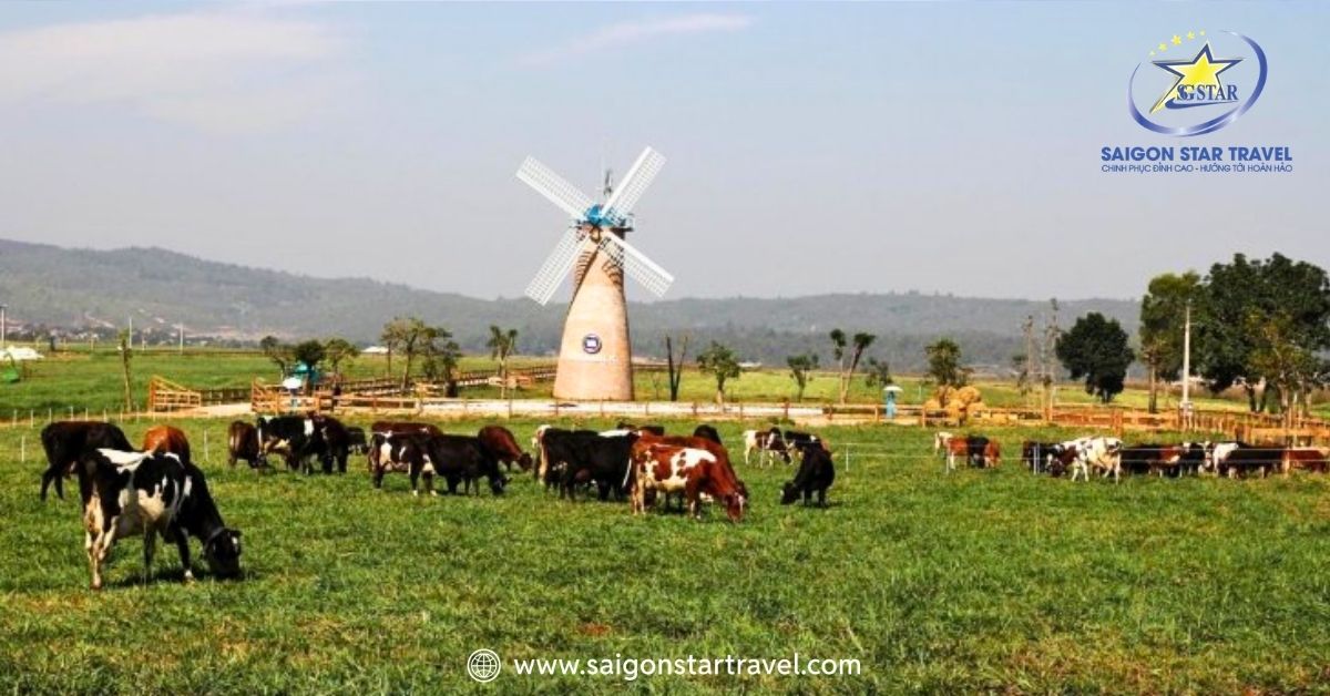 Dalat Milk farm