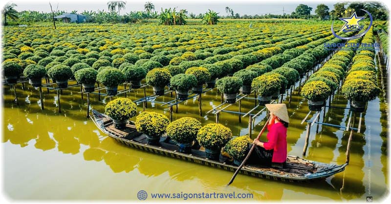 Du Lịch Miền Tây 1 Ngày Nên Đi Đâu Để Có Trải Nghiệm Trọn Vẹn? | Saigon Star Travel địa điểm nhà vườn - du lịch miền tây