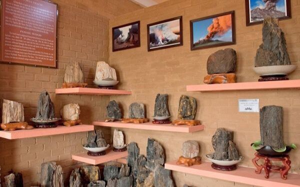 Điều gì thu hút du khách khi ghé thăm Bảo tàng Cội nguồn Phú Quốc? | Saigon Star Travel dieu-gi-thu-hut-du-khach-khi-ghe-tham-bao-tang-coi-nguon-phu-quoc-2 (1)